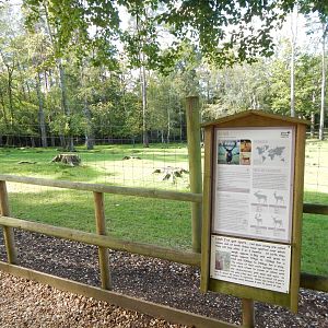 Scottish red deer habitat 130924