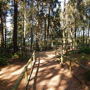 View towards Northern lynx habitat 130924