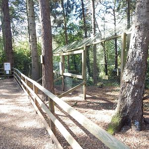 Northern lynx habitat 130924