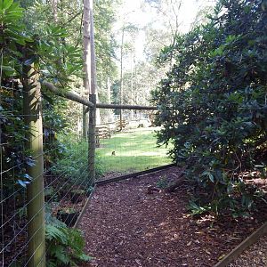 View towards European mouflon habitat 130924