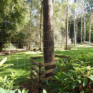 European mouflon habitat 130924