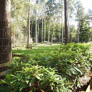 European mouflon habitat 130924