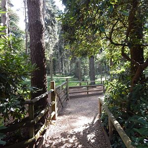 View towards Mackenzie Valley wolf habitat 130924