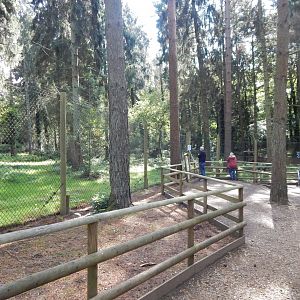 Mackenzie Valley wolf habitat 130924