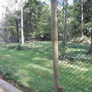 Mackenzie Valley wolf habitat 130924