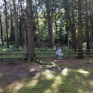 Mackenzie Valley wolf habitat 130924