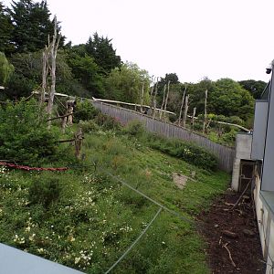 View over the Living Links enclosure 18.7.23