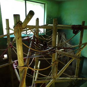 Living Links new climbing frames 18.7.23