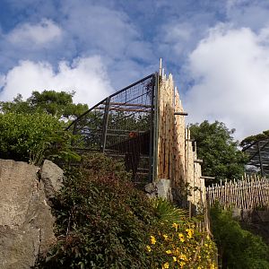 View from the end of the old sumatran tiger enclosure 19.7.23