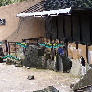 Penguin hospital 19.7.23