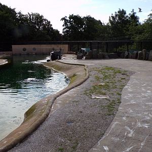 Moss in the Penguin enclosure 19.7.23