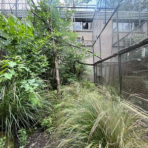 Monkey house outdoor cage 20.7.23