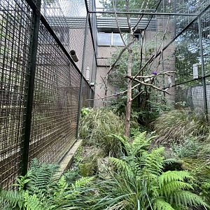 Monkey house outdoor cage 20.7.23