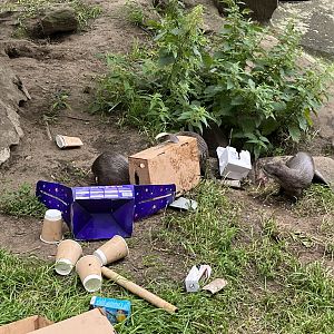 ASCO enrichment 20.7.23