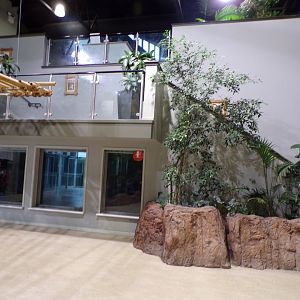 View inside Chimpanzee house in the evening 22.7.23