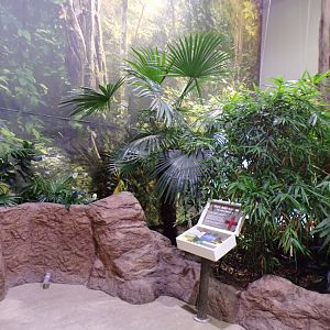 View inside Chimpanzee house in the evening 22.7.23