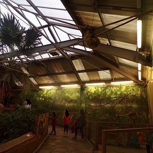 View in sloth house in the evening 22.7.23