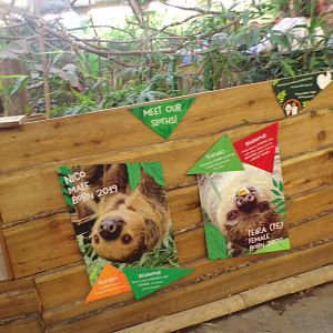 Sloth ID signage 22.7.23
