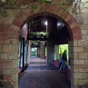 View in magic forest in the evening 22.7.23