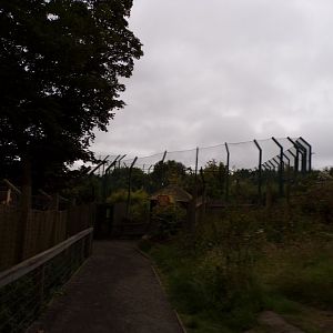 View over tiger tracks in the evening 22.7.23