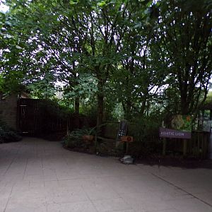 View outside lion enclosure in the evening 22.7.23