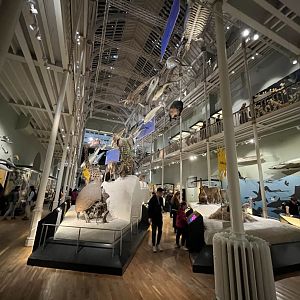 View in the animal hall 29.7.23