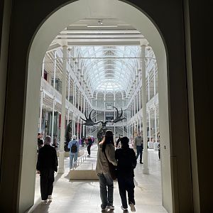 View leaving the animal hall 29.7.23