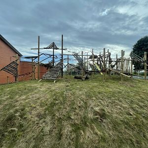 Refurbished Francois Langur Enclosure