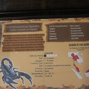 BugParc Signage Example, 08/2024