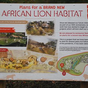 New lion enclosure plans