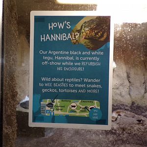 Black and white tegu signage 9.9.23