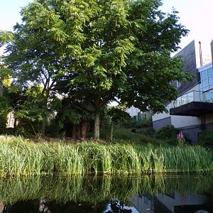 Budongo trail- bottom of the chimpanzee enclosure 9.9.23