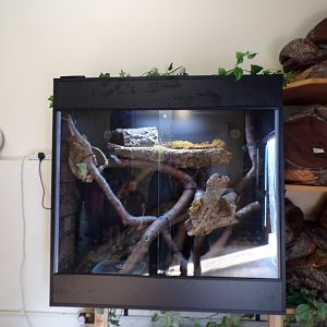 Snake terrarium in education centre 9.9.23