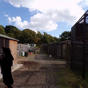 View of the off-show animal antics cages 9.9.23