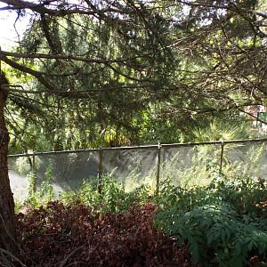 View of former white-faced saki enclosure from outside the zoo 9.9.23