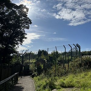 View towards tiger tracks on a nice day 14.8.23