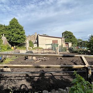 Indian rhinoceros enclosure 14.8.23
