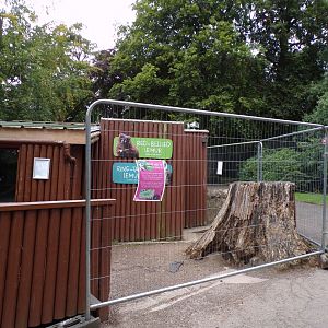 Closed off lemur indoor house 14.8.23