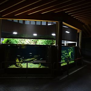 Aquarium section