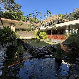 Pig-nosed Turtle Exhibit