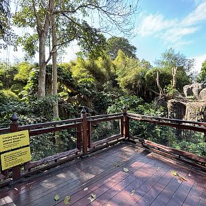 Javan Leopard + False Gharial Exhibit