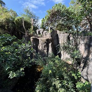 Javan Leopard + False Gharial Exhibit