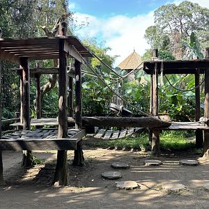 Free-roaming Orangutan Area