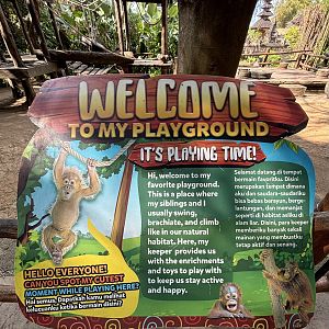 Free-roaming Orangutan Area Sign