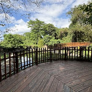 Saltwater Crocodile Exhibit