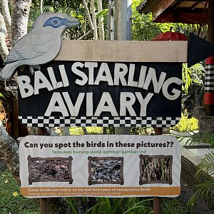 Bali Starling Aviary Sign