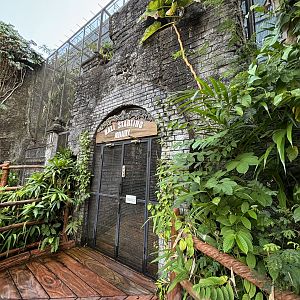 Bali Starling Aviary