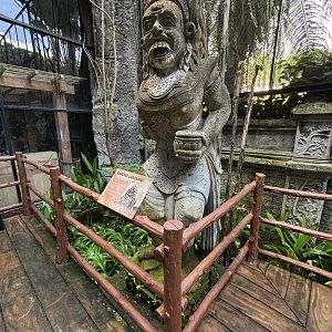 Bali Starling Aviary