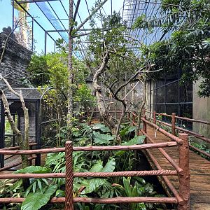 Bali Starling Aviary - wonderful!