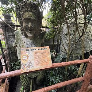 Bali Starling Aviary